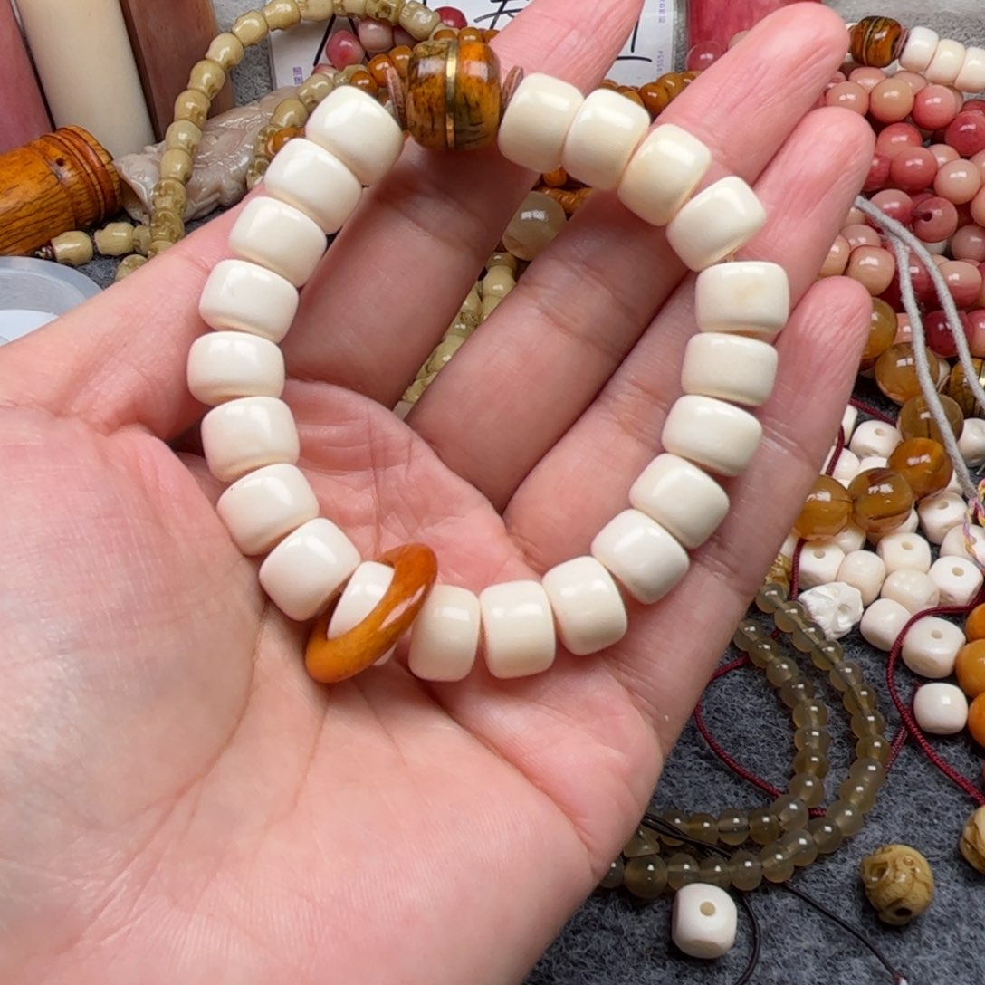 鹿骨其他人工养殖驼骨22