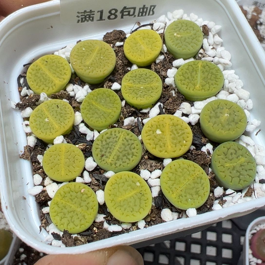 【闪购商品】 379。    