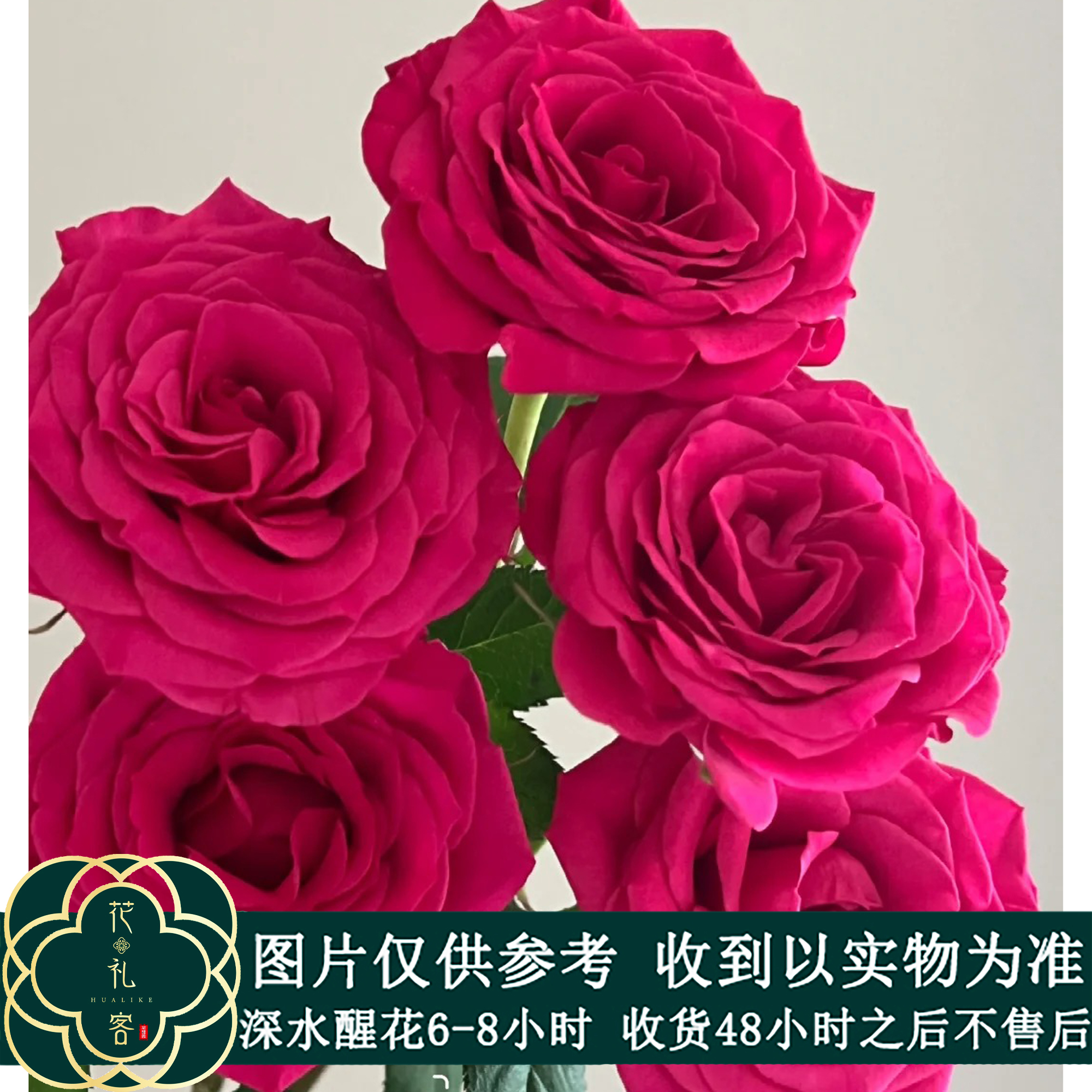 【富克】方德-嘉荷系A级单头玫瑰 鲜花优选 顺丰直发