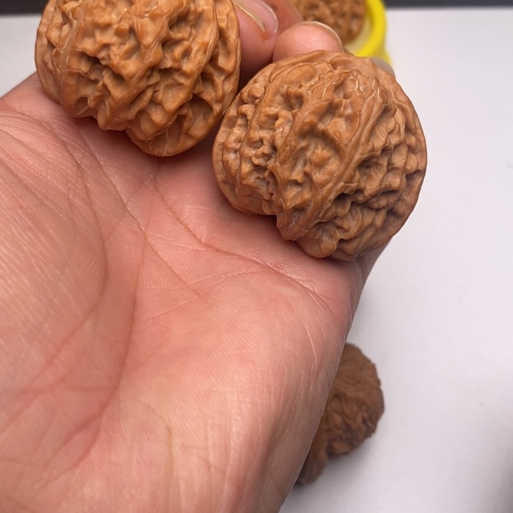 苹果园狮子头41尺寸
