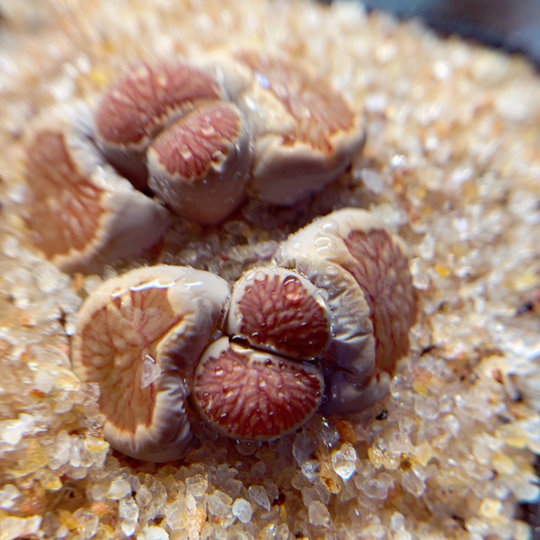 53 0 88888888888888888