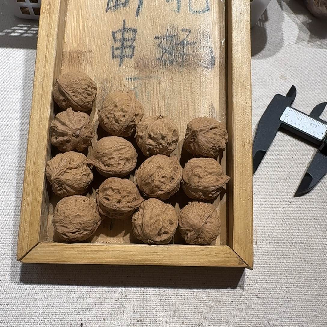 核桃手串/手链6号边23手串