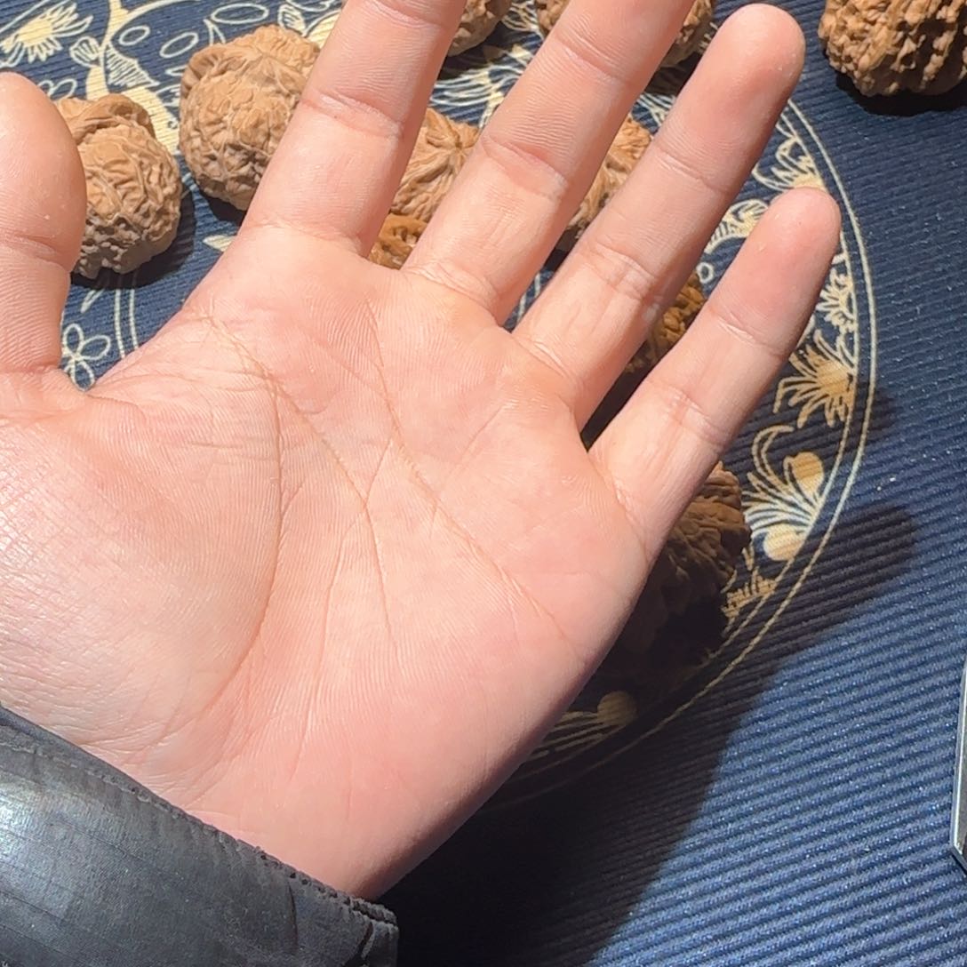 叁**?打包哈哈哈哈哈哈哈哈哈哈