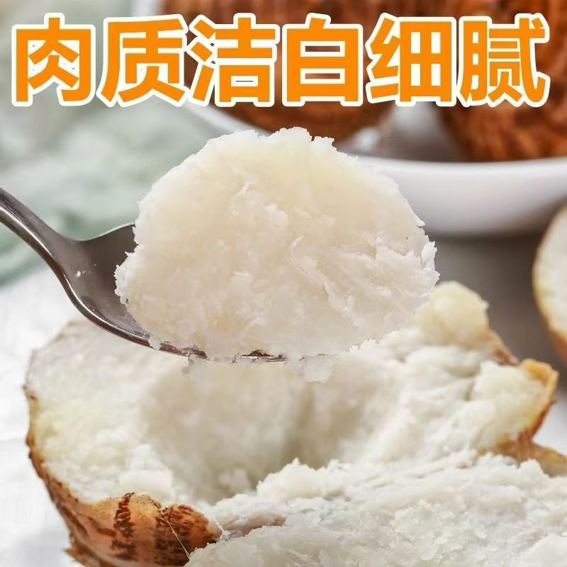河南老家正宗沙地种植牛奶小芋头净重3/5斤