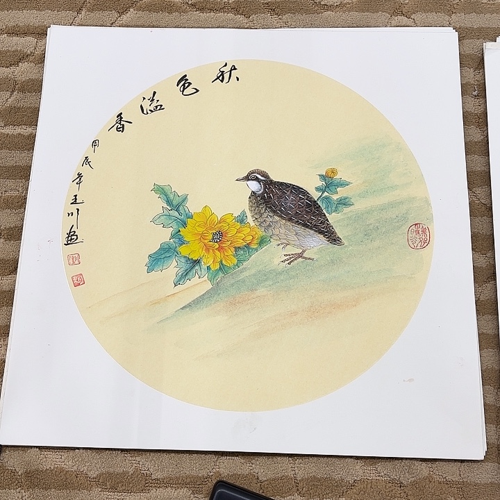 国画花鸟的翅膀和翅膀是一样