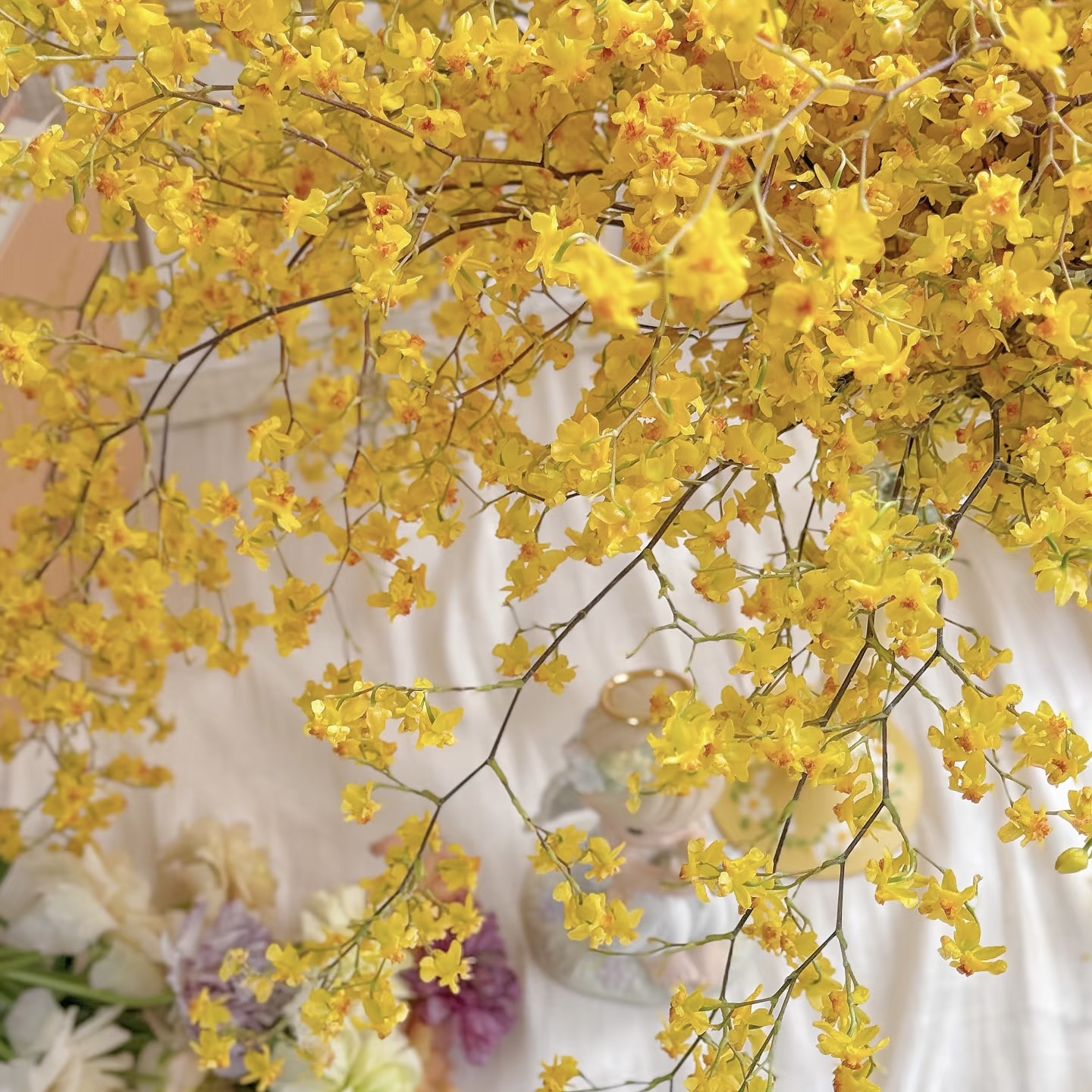 【金黄色】浓香梦香兰室内花卉 