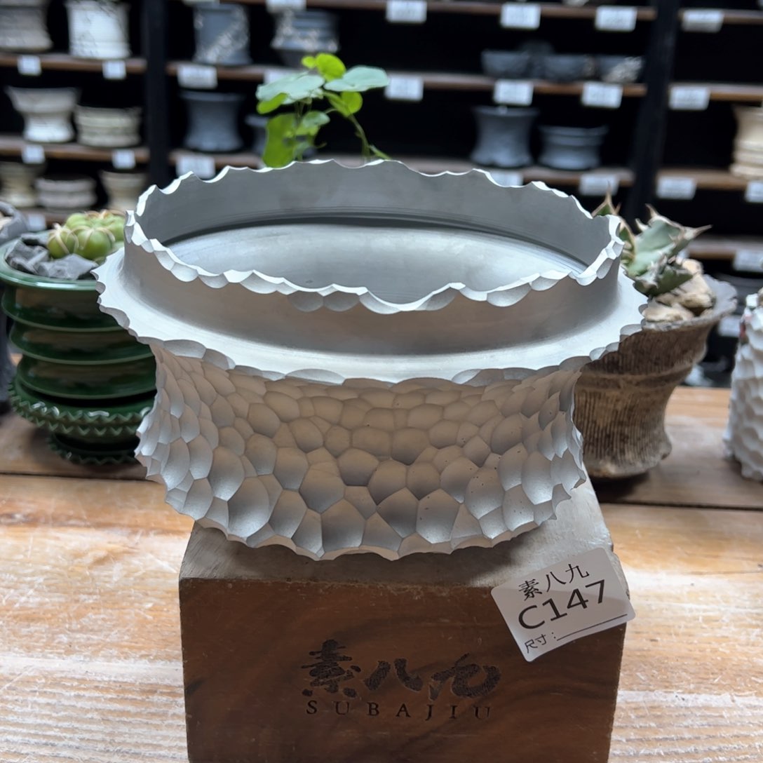 素八九陶瓷内口16高11