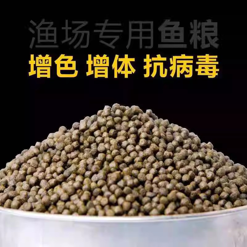 鱼塘专用观赏鱼饲料一包