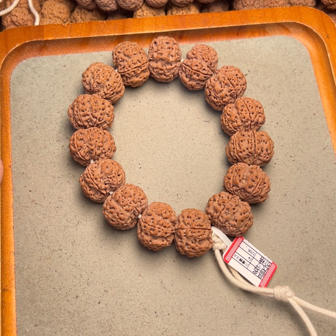 菩提19号金刚菩提六瓣24定制