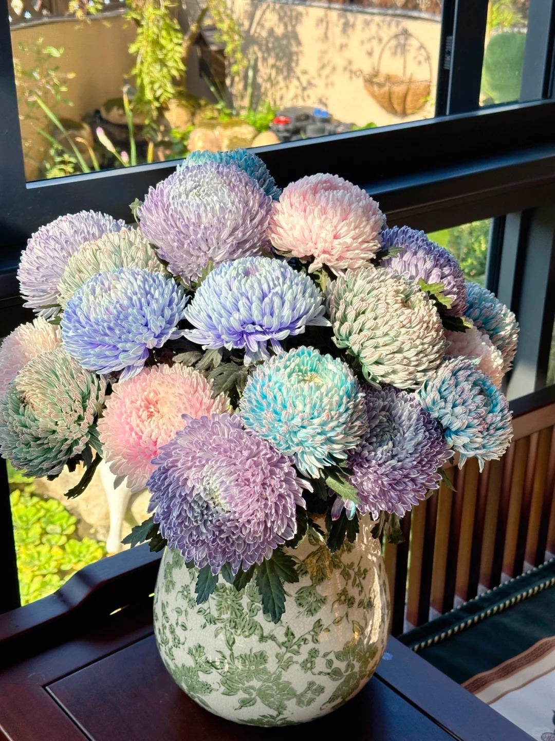 富贵牡丹菊  云南昆明顺丰冷链发货