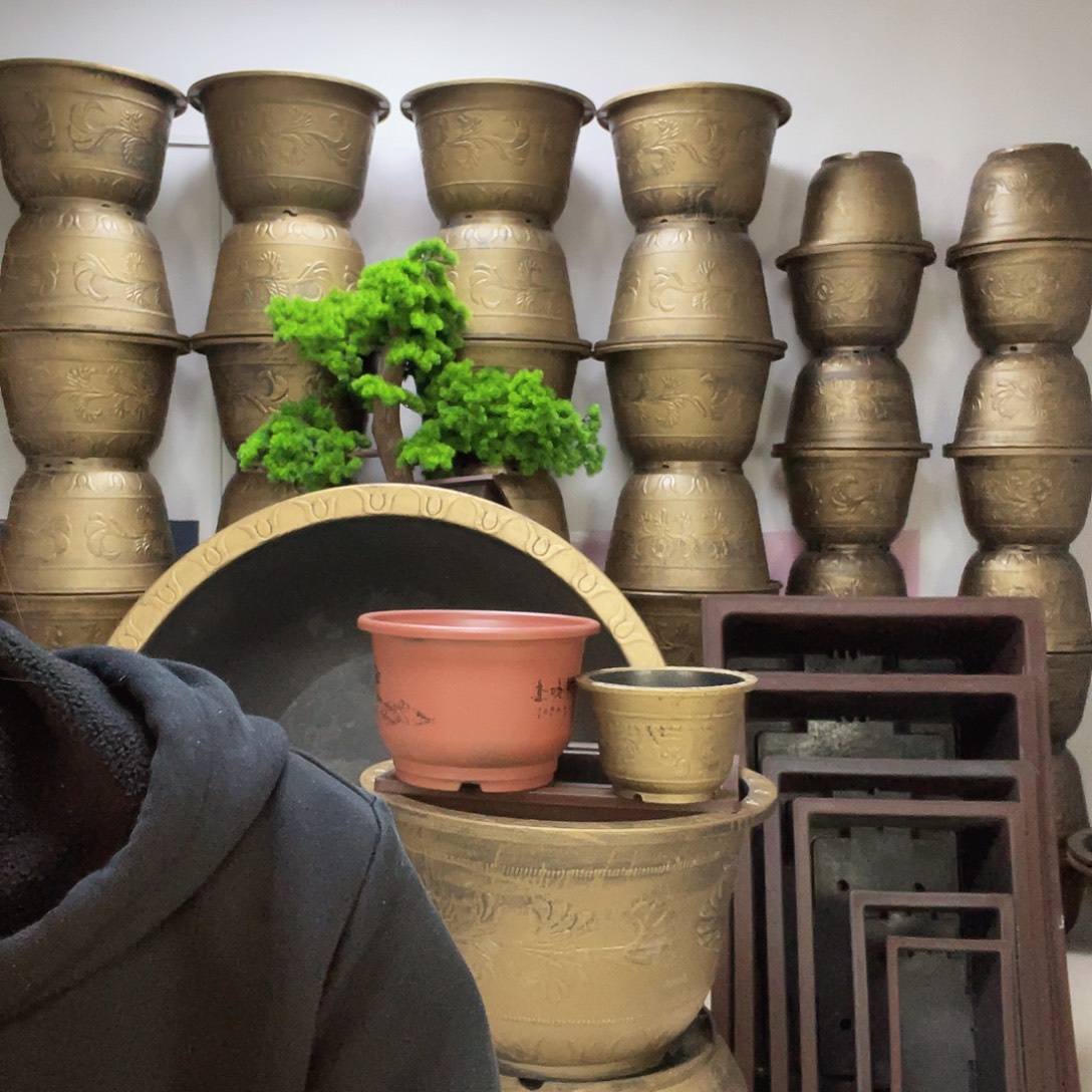 5个30盆栽！有孔有孔！