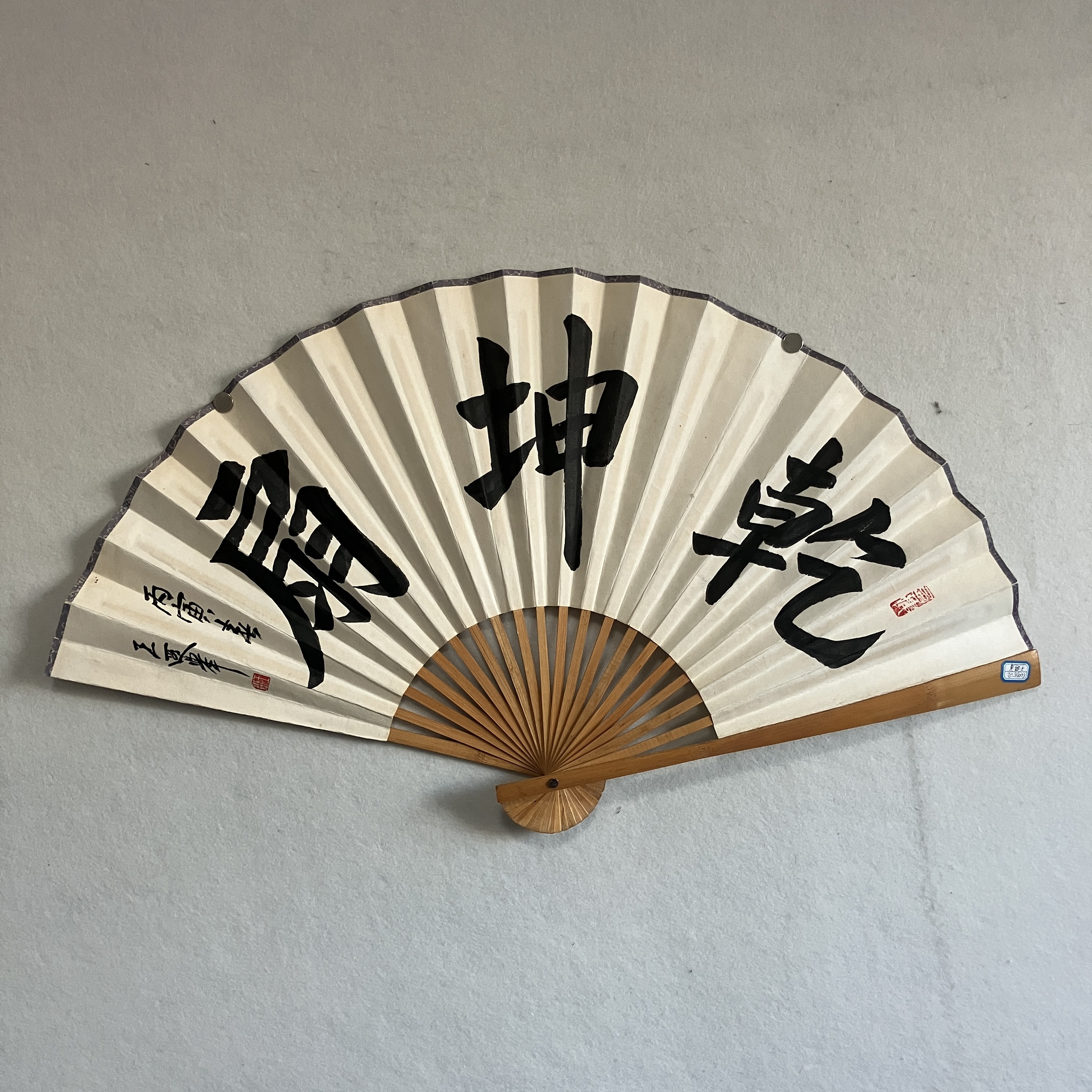 CC023王遐举 扇子 纸本水墨成扇 30×88cm