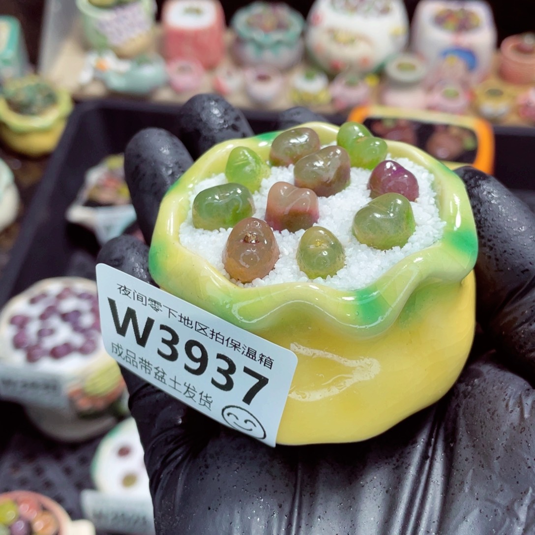 夜间零下地区拍保温箱w3937