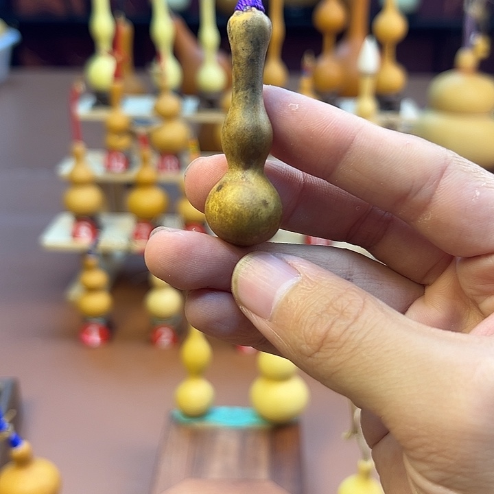 面***姊葫芦等多种颜色的花