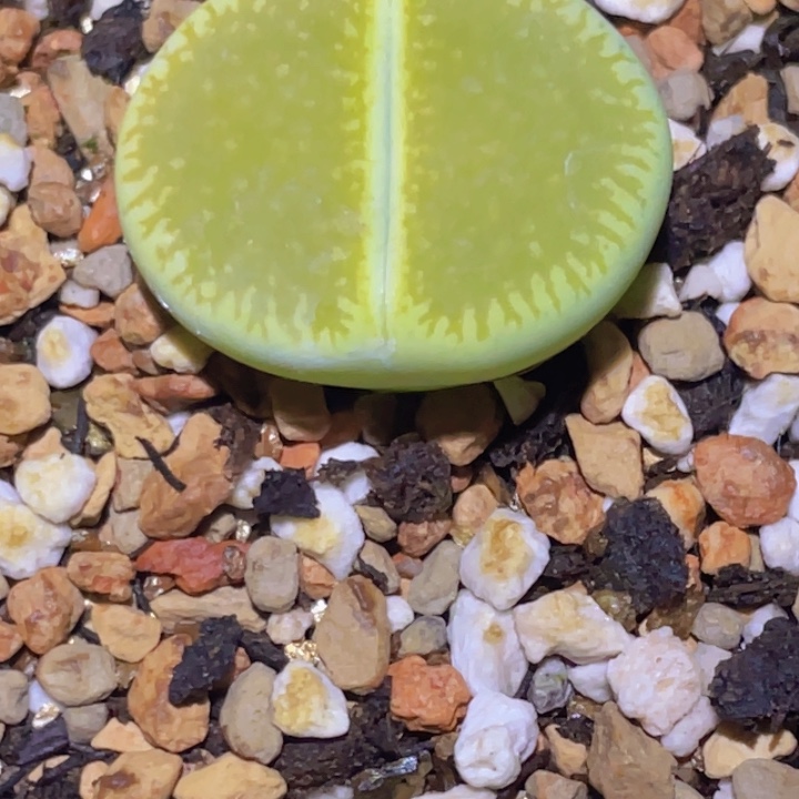 4888898998988888888888