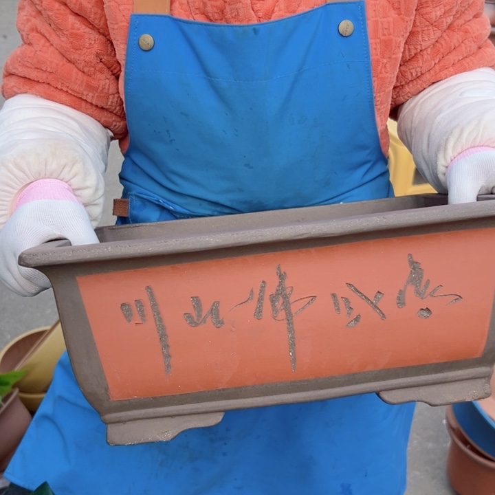 31红马槽花盆花盆花盆花盆