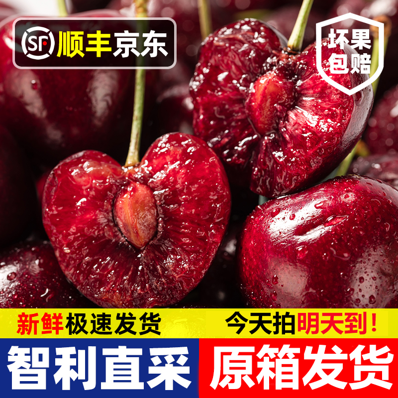 3JD特大果【五斤原箱·明天到】智利进口车厘子内附果径卡800g海运TY