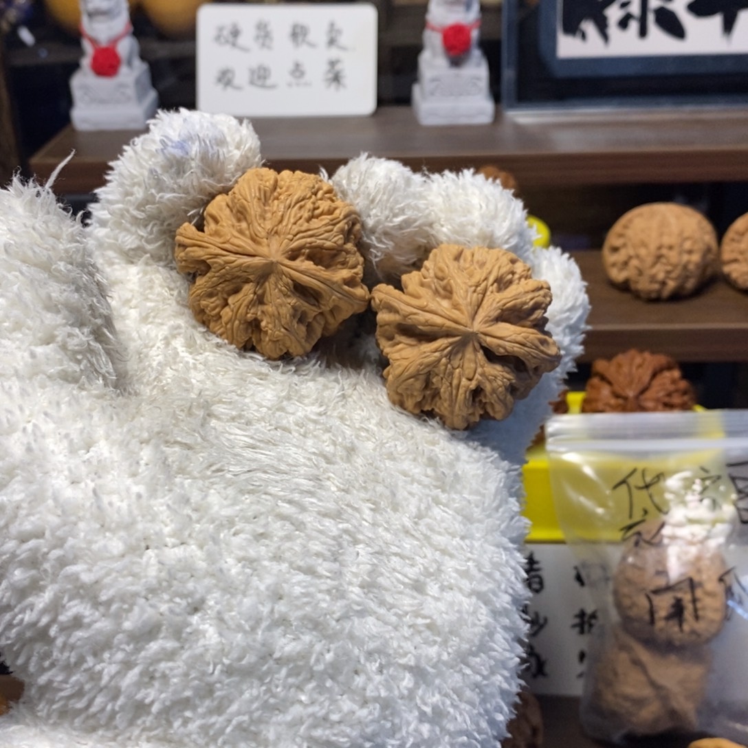 吊坠桃核45全品大粗筋