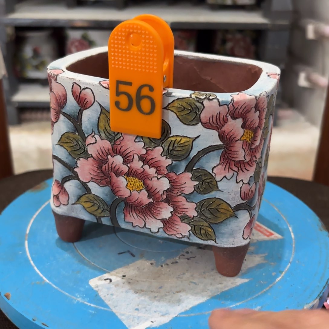 缸哈哈哈哈哈哈哈哈哈哈哈