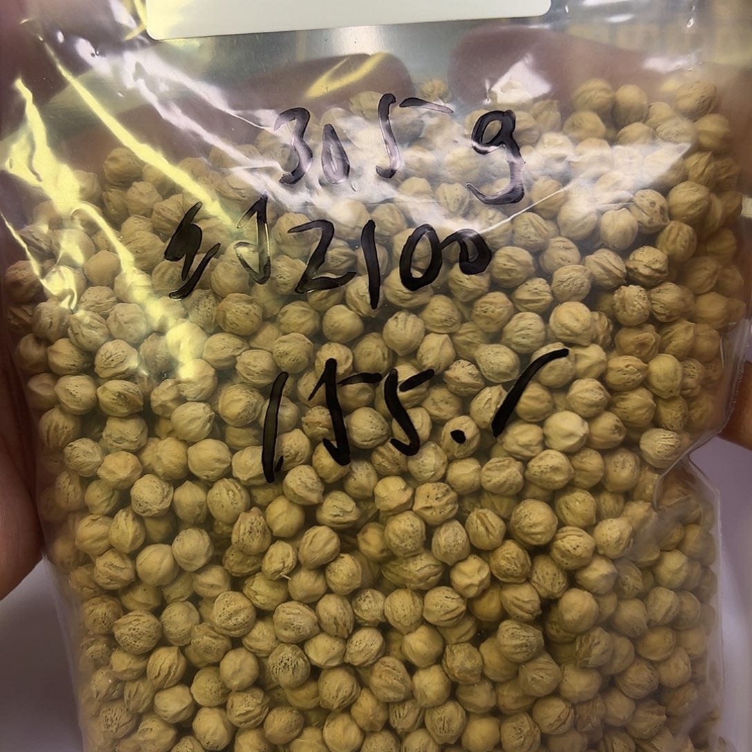 排***儿吊坠柏香籽/百香籽