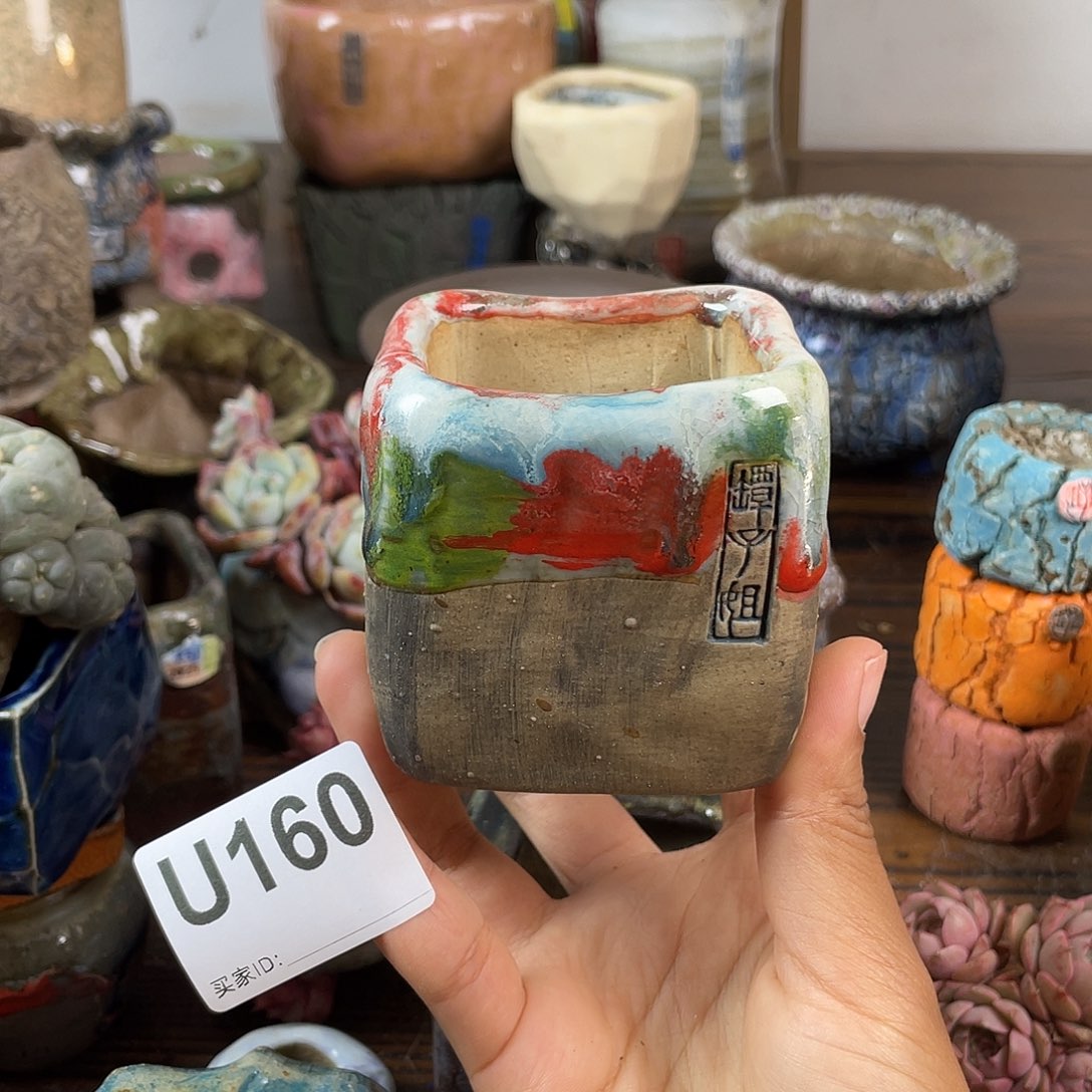 默认微次 跨年福利 坛子姐花盆