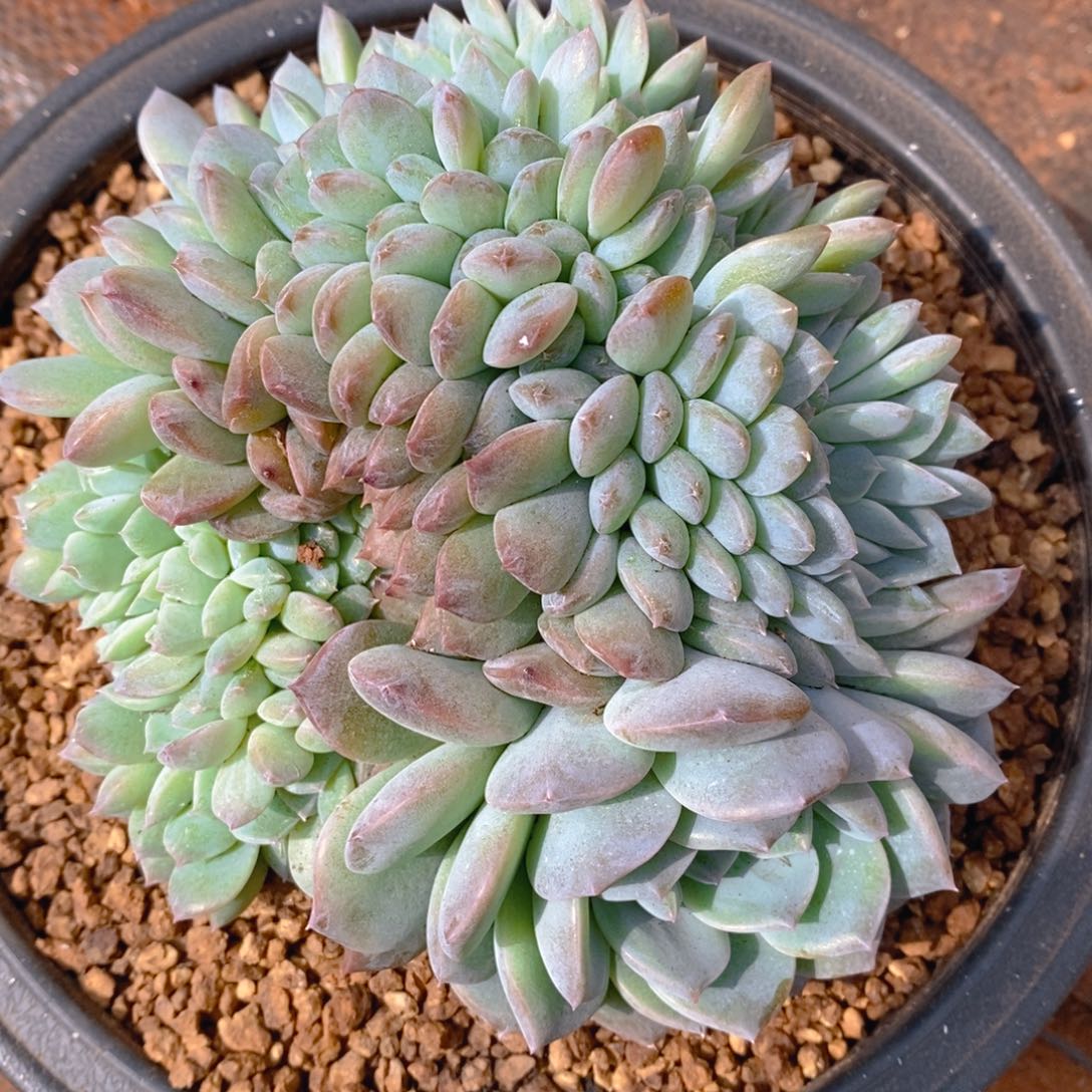 小***子1111111111111