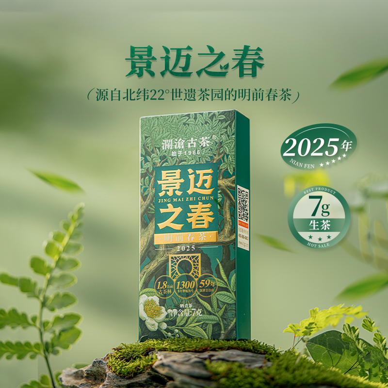 澜沧古茶【新品上市】2025年景迈之春景迈山明前头春茶散茶单泡装7g