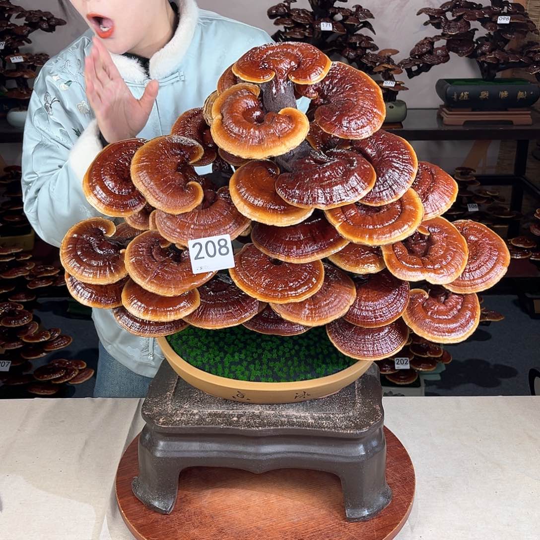 万事如意8888888208