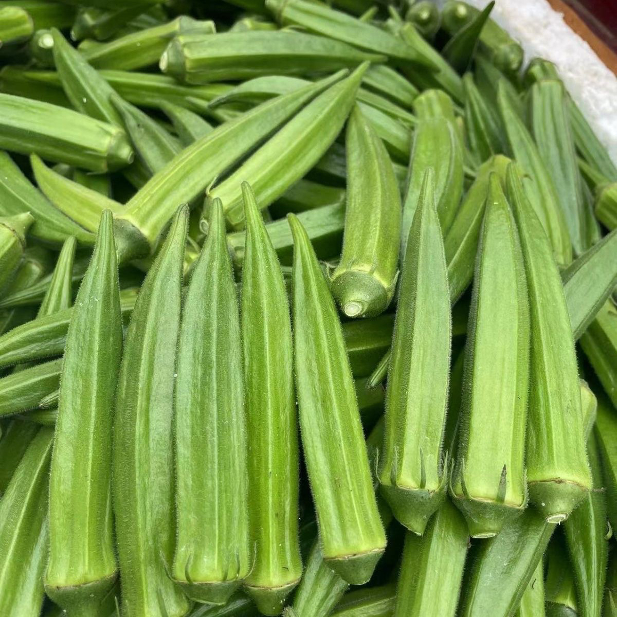 （陈小妹）秋葵农家大集现收