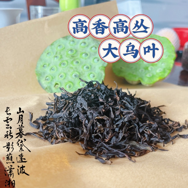 高山头春乌叶潮州凤凰单丛茶青麻园自产自销原生态好茶滋味醇厚