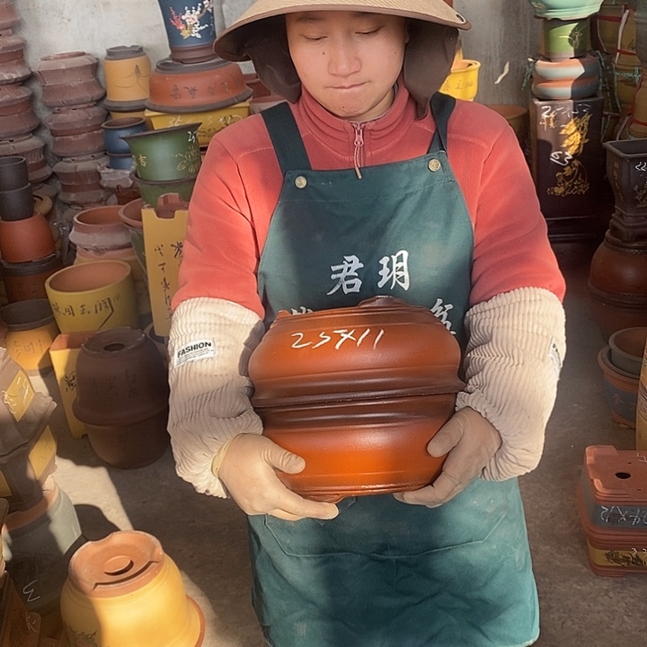 紫砂花盆紫砂花盆盆栽花卉苗木种植