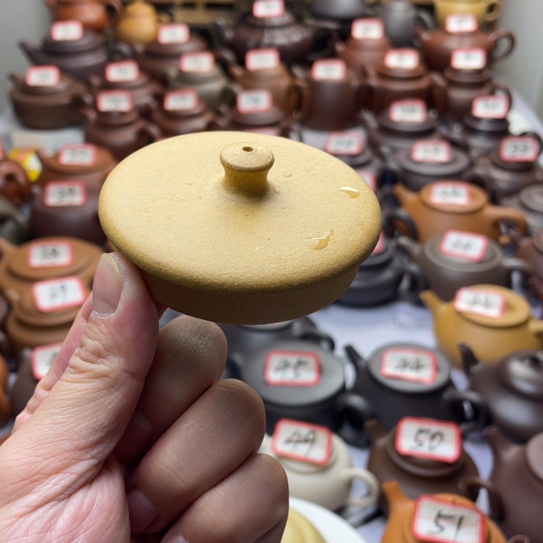 骑****茶壶紫砂宜兴紫荆草