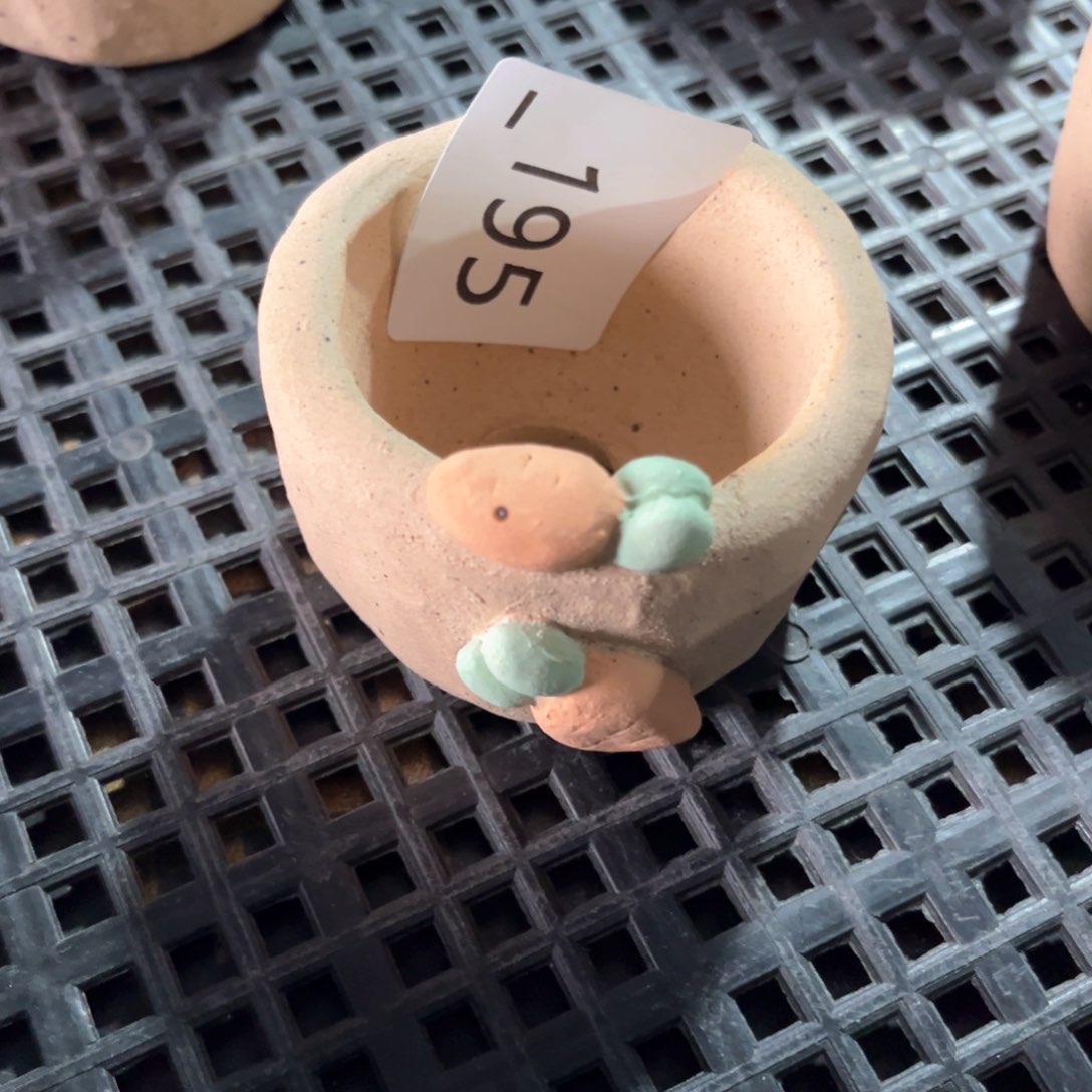 红陶195花盆  1个