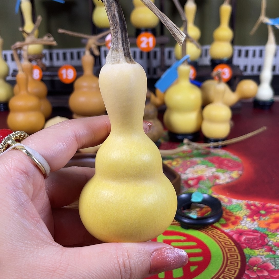 如***愿发哈哈哈哈给vv把v并不好