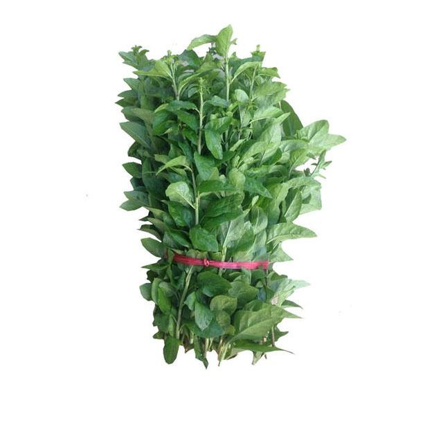 枸杞叶约500g/份