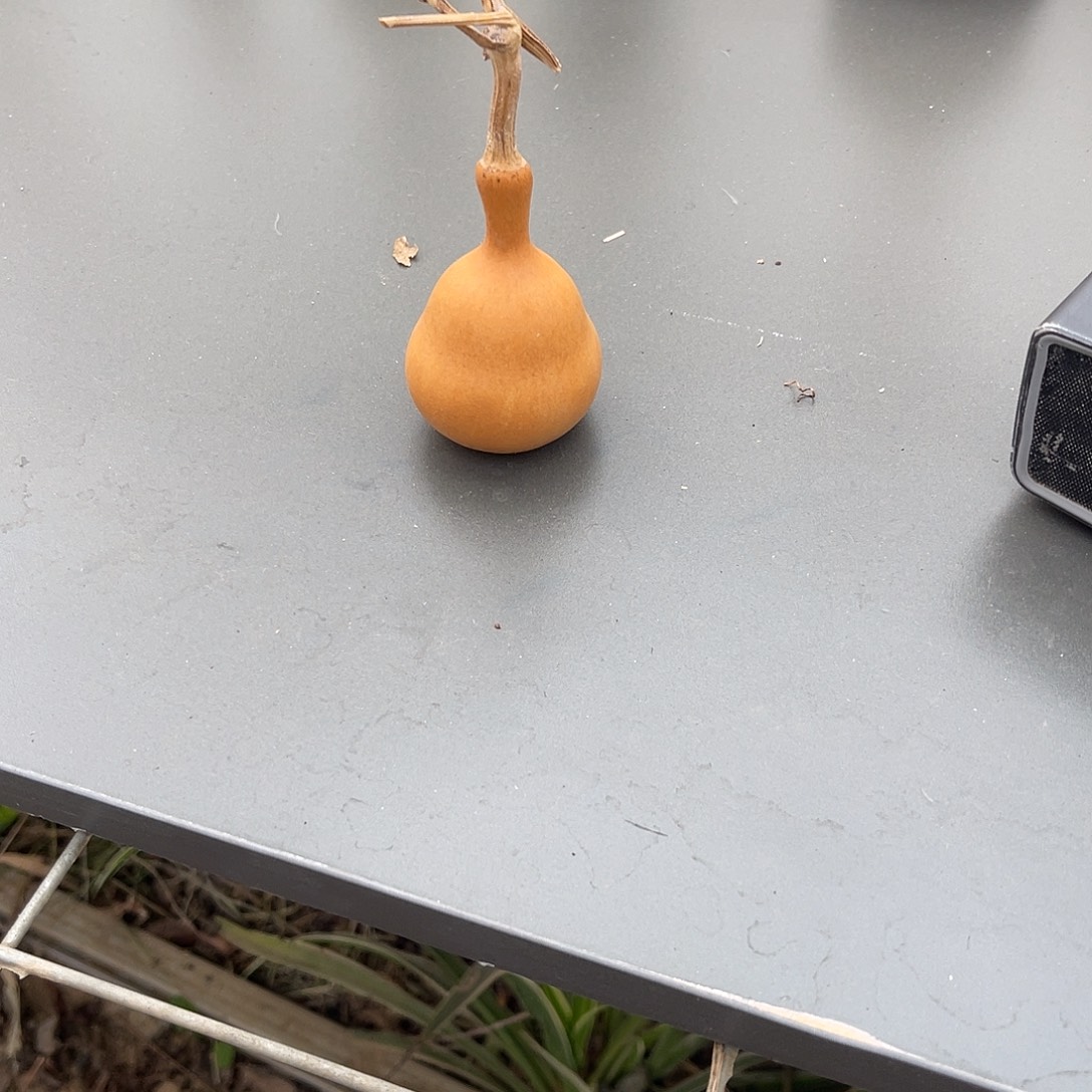 可***乐58葫芦888888888888