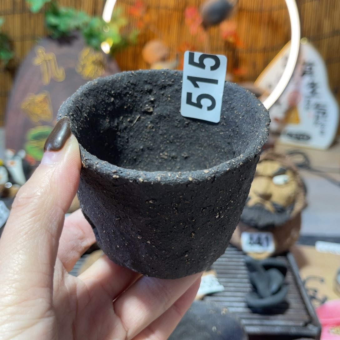 木村信弘柴烧保平