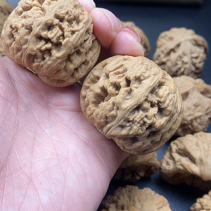 吊坠龙脊菩提粗筋46