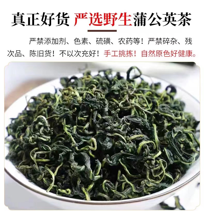 无熏硫野生蒲公英茶熬夜养生下火