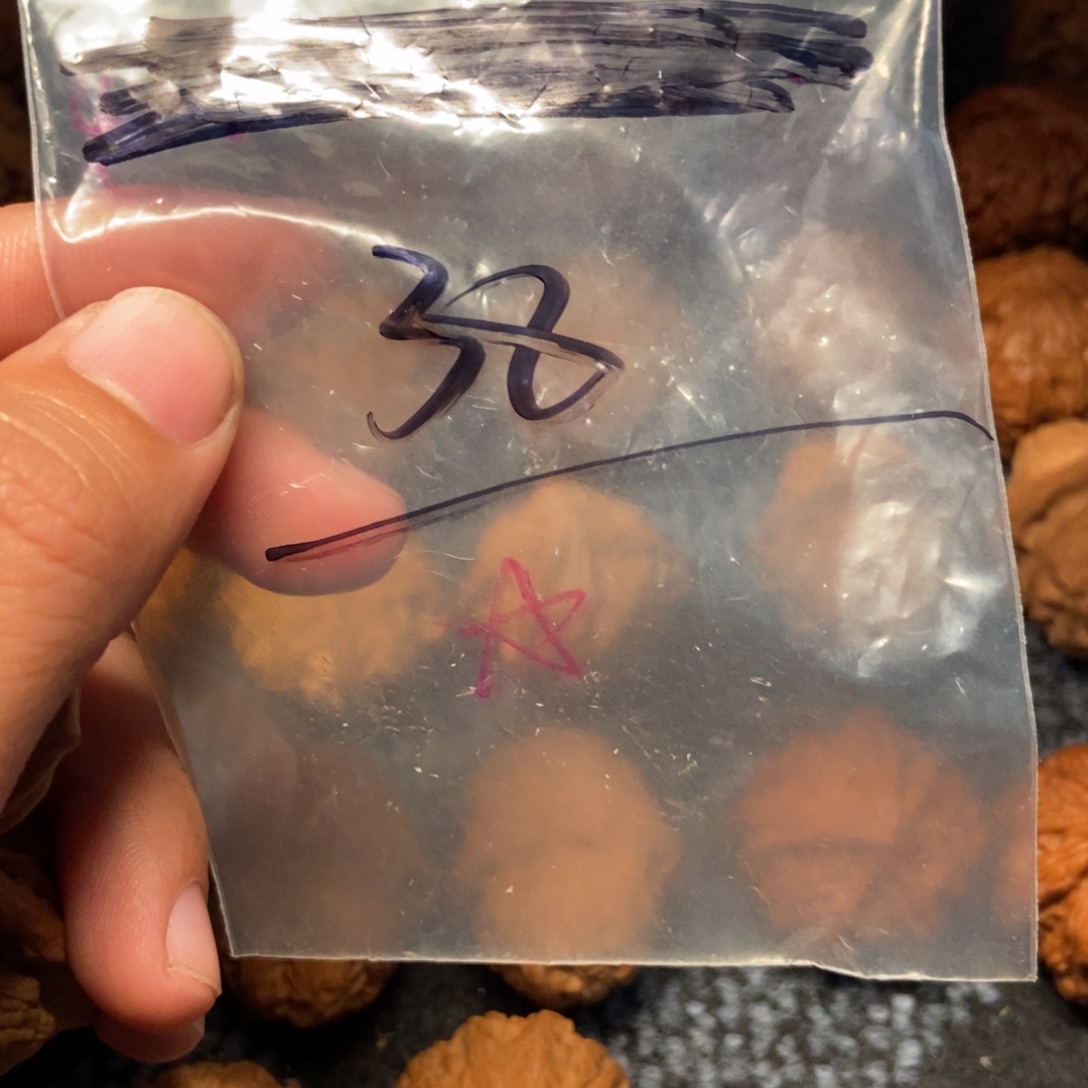 苦***瓜把件文玩核桃文玩核桃虎头39