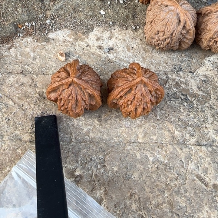 天***骄文玩核桃把件三棱