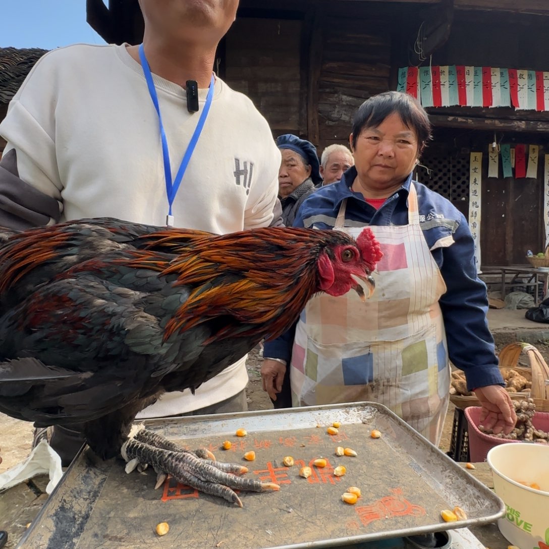 包装中国大陆2681….