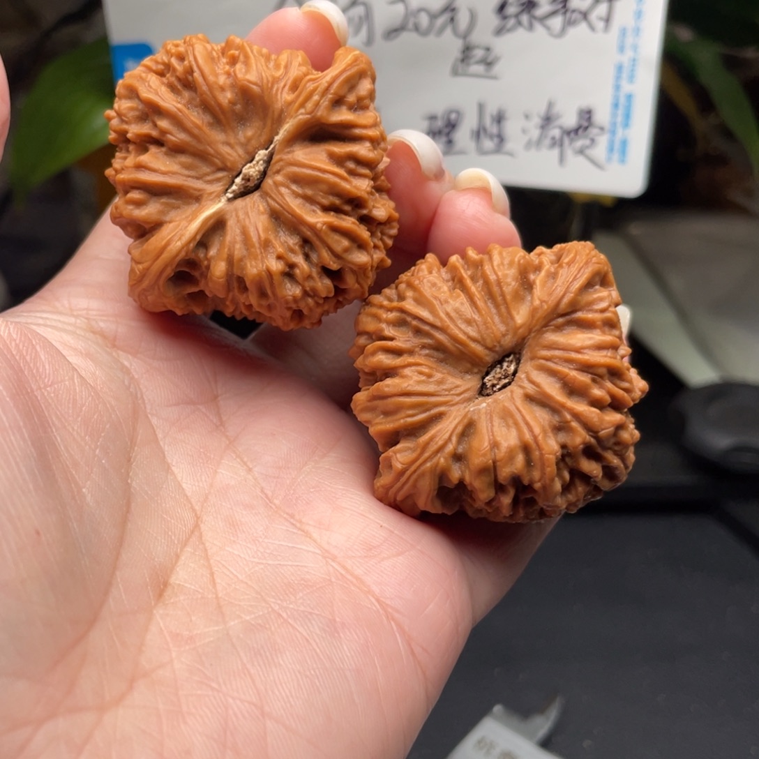 刚***文玩核桃把件南将石