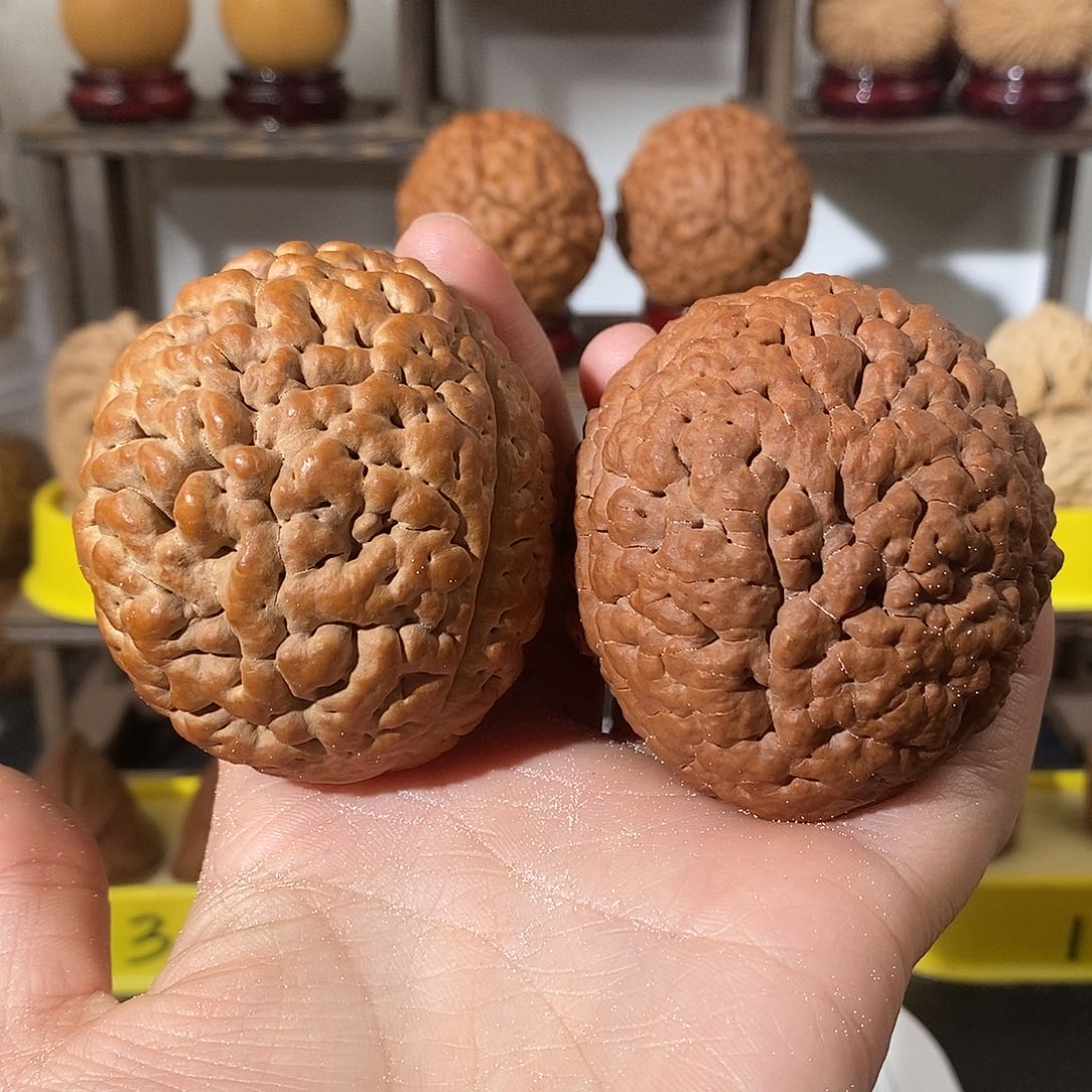 吊坠文玩核桃三瓣脑纹金刚阴阳对不退不换不接受中差评