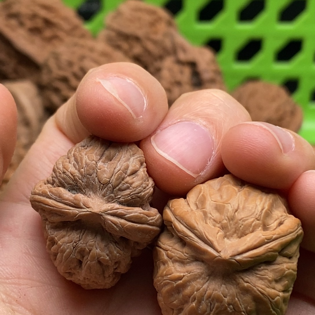 问***林核桃定制商品不退不换