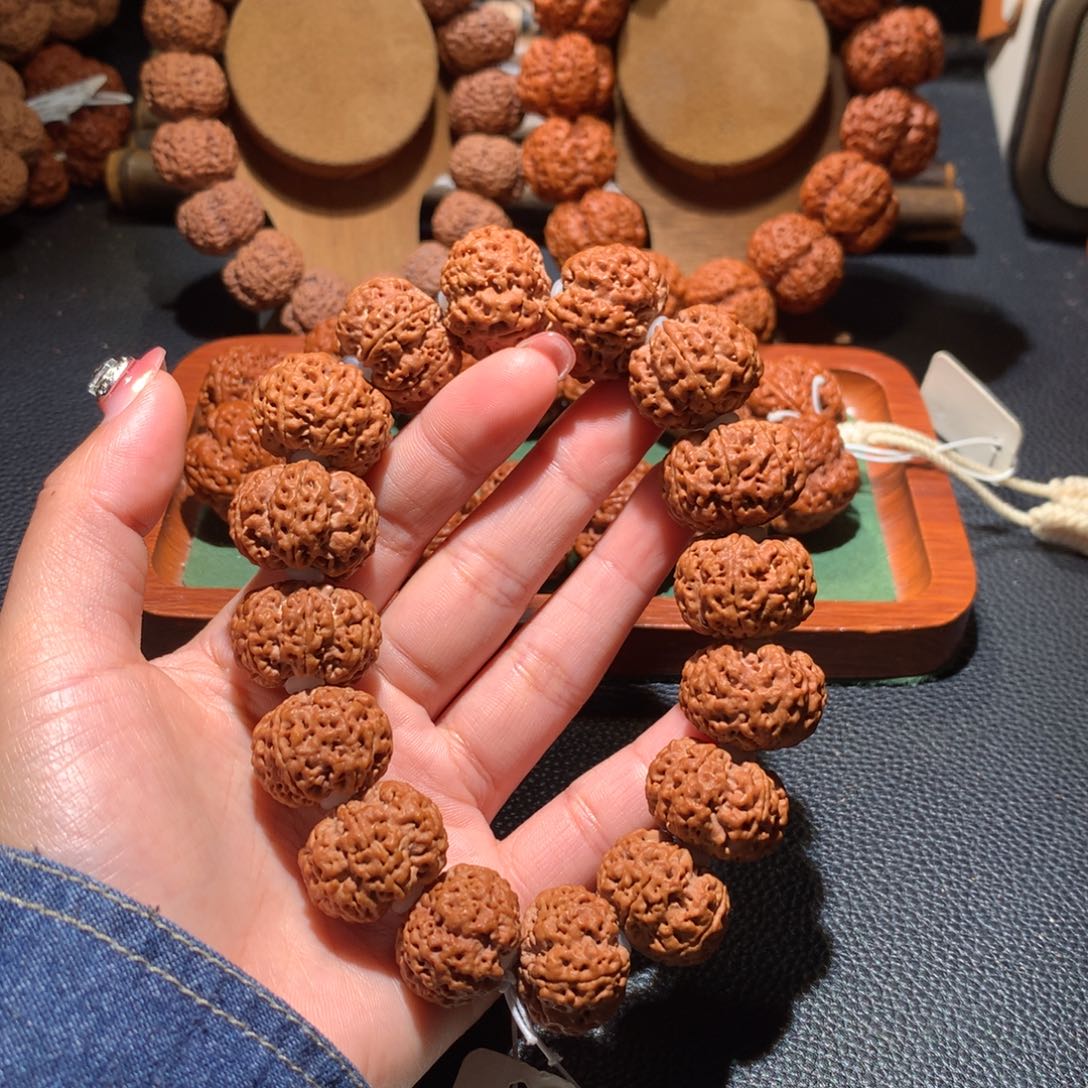 手串金刚菩提23尺寸六瓣