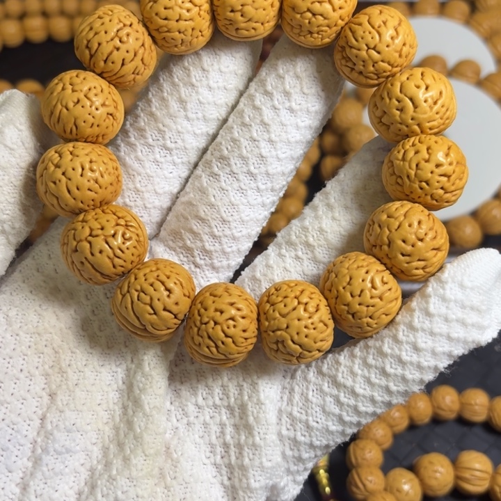 Q***L4号20尺寸老树苹果