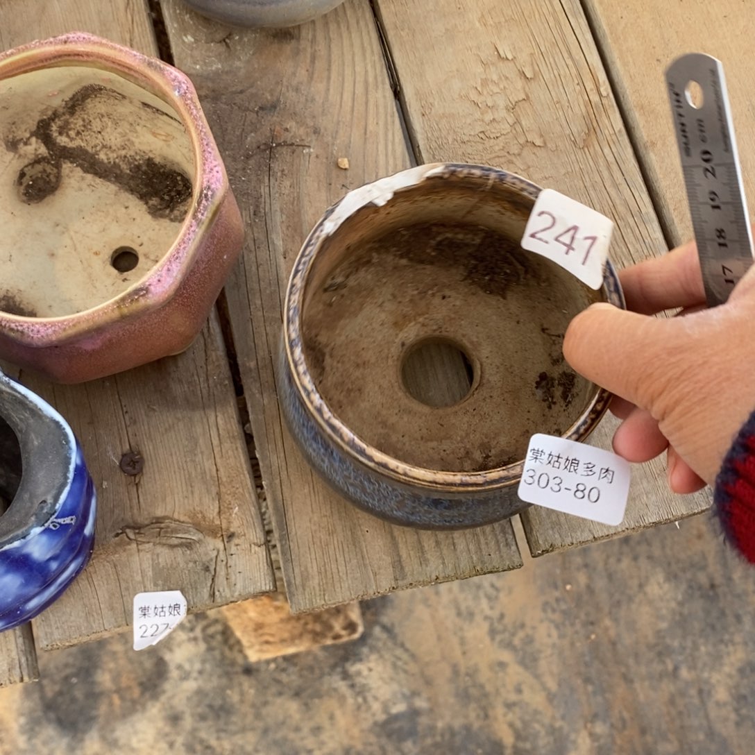 红陶80号瑕疵瑕疵瑕疵