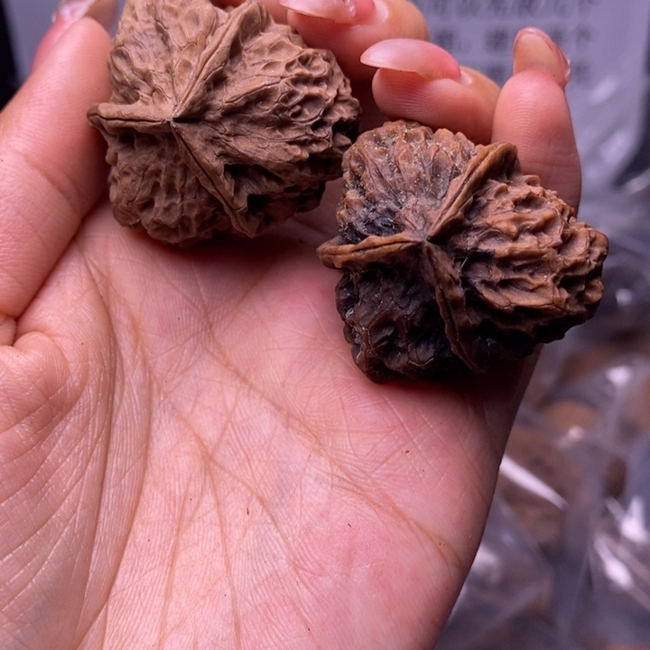 核桃云南野生铁核桃13号37mm