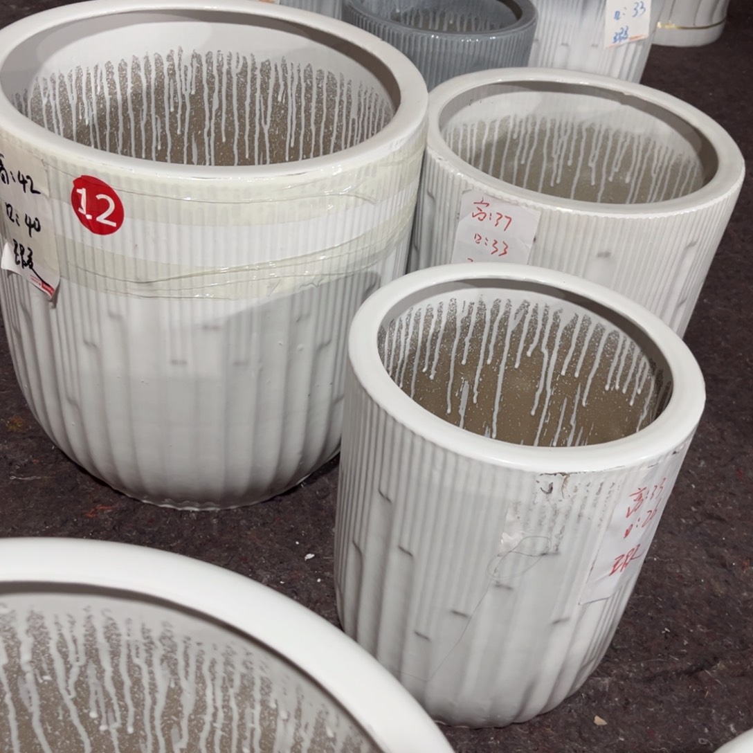 白色音符主播三个花盆